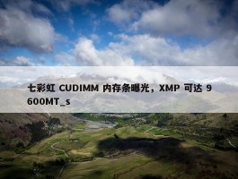 七彩虹 CUDIMM 内存条曝光，XMP 可达 9600MT_s