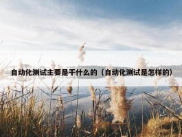 自动化测试主要是干什么的（自动化测试是怎样的）