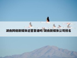 湖南网络新媒体运营靠谱吗 湖南新媒体公司排名