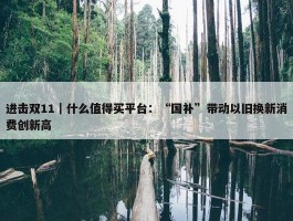 进击双11｜什么值得买平台：“国补”带动以旧换新消费创新高