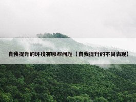 自我提升的环境有哪些问题（自我提升的不同表现）