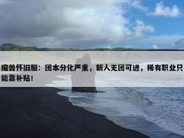 魔兽怀旧服：团本分化严重，新人无团可进，稀有职业只能靠补贴！