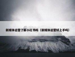 新媒体运营了解小红书吗（新媒体运营好上手吗）