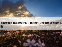 自我提升还有其他句子吗，自我提升还有其他句子吗怎么说