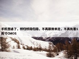 手机想通了，桥归桥路归路，不再跟微单比，不再执着1英寸CMOS