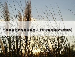 气质内涵怎么提升自我意识（如何提升自我气质修养）