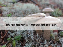 要坚持自我提升为主（坚持提升自我修养 实例）