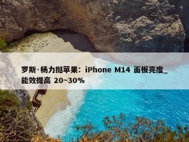 罗斯·杨力挺苹果：iPhone M14 面板亮度_能效提高 20~30%