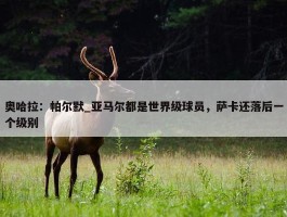 奥哈拉：帕尔默_亚马尔都是世界级球员，萨卡还落后一个级别