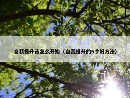 自我提升该怎么开始（自我提升的5个好方法）