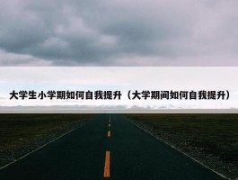 大学生小学期如何自我提升（大学期间如何自我提升）