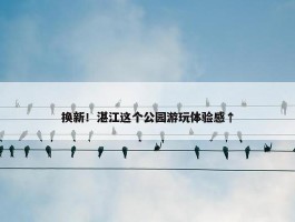 换新！湛江这个公园游玩体验感↑