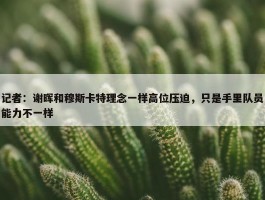 记者：谢晖和穆斯卡特理念一样高位压迫，只是手里队员能力不一样