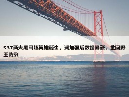 S37两大黑马级英雄诞生，澜加强后数据暴涨，重回野王阵列