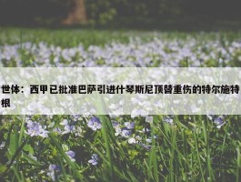 世体：西甲已批准巴萨引进什琴斯尼顶替重伤的特尔施特根