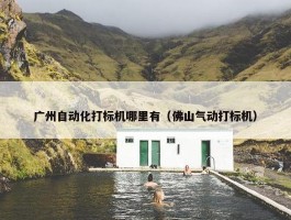 广州自动化打标机哪里有（佛山气动打标机）