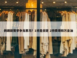 鹈鹕新赛季争当黑马？1将是关键 2特质堪称万金油