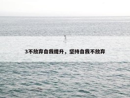 3不放弃自我提升，坚持自我不放弃