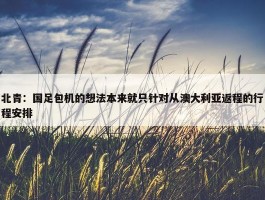 北青：国足包机的想法本来就只针对从澳大利亚返程的行程安排