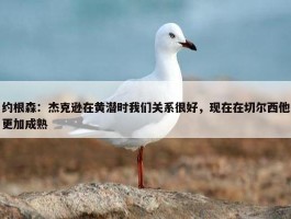 约根森：杰克逊在黄潜时我们关系很好，现在在切尔西他更加成熟