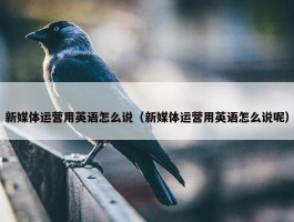 新媒体运营用英语怎么说（新媒体运营用英语怎么说呢）