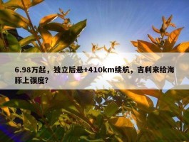 6.98万起，独立后悬+410km续航，吉利来给海豚上强度？