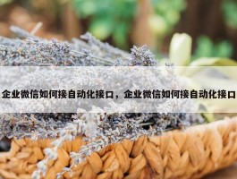 企业微信如何接自动化接口，企业微信如何接自动化接口