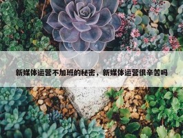 新媒体运营不加班的秘密，新媒体运营很辛苦吗