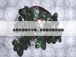 自我改造提升不够，自我整改提高措施