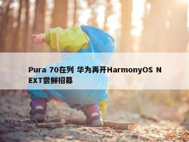 Pura 70在列 华为再开HarmonyOS NEXT尝鲜招募