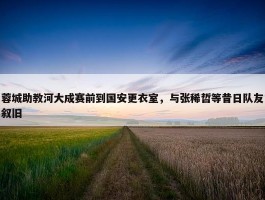 蓉城助教河大成赛前到国安更衣室，与张稀哲等昔日队友叙旧