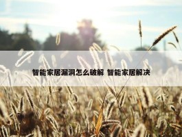 智能家居漏洞怎么破解 智能家居解决