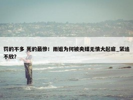 罚的不多 死的最惨！雨姐为何被央媒无情大起底_紧追不放？