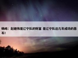 杨鸣：赵继伟是辽宁队的财富 是辽宁队这几年成功的基石！