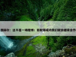 图赫尔：这不是一场赌博；若取得成功我们就会继续合作