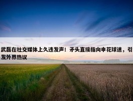 武磊在社交媒体上久违发声！矛头直接指向申花球迷，引发外界热议