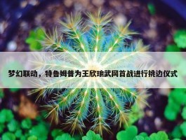 梦幻联动，特鲁姆普为王欣瑜武网首战进行挑边仪式