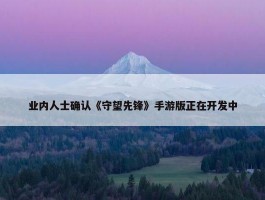 业内人士确认《守望先锋》手游版正在开发中