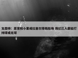 文森特：愿意和小里或拉塞尔搭档后场 我们三人都能打持球或无球