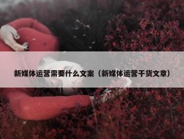 新媒体运营需要什么文案（新媒体运营干货文章）