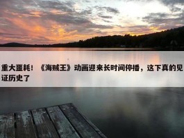 重大噩耗！《海贼王》动画迎来长时间停播，这下真的见证历史了