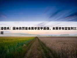 潘德夫：国米依然是本赛季意甲最强，本赛季有望复刻三冠