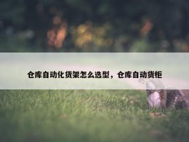 仓库自动化货架怎么选型，仓库自动货柜