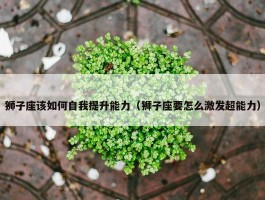 狮子座该如何自我提升能力（狮子座要怎么激发超能力）