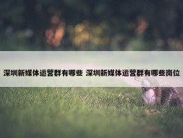 深圳新媒体运营群有哪些 深圳新媒体运营群有哪些岗位