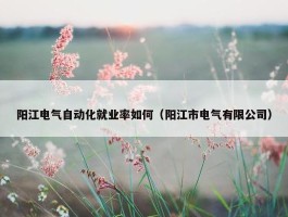 阳江电气自动化就业率如何（阳江市电气有限公司）