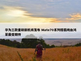 华为三款重磅新机将发布 Mate70系列搭载纯血鸿蒙最受期待