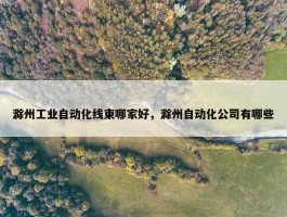 滁州工业自动化线束哪家好，滁州自动化公司有哪些