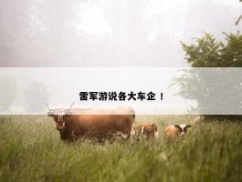 雷军游说各大车企 ！