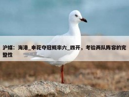 沪媒：海港_申花夺冠概率六_四开，考验两队阵容的完整性